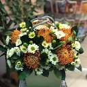 ���� �������, ������, 49 ��� - ��������� 10 ������� 2018 � ������ �����������