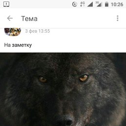 ���� �������, ������, 40 ��� - ��������� 19 ����� 2019