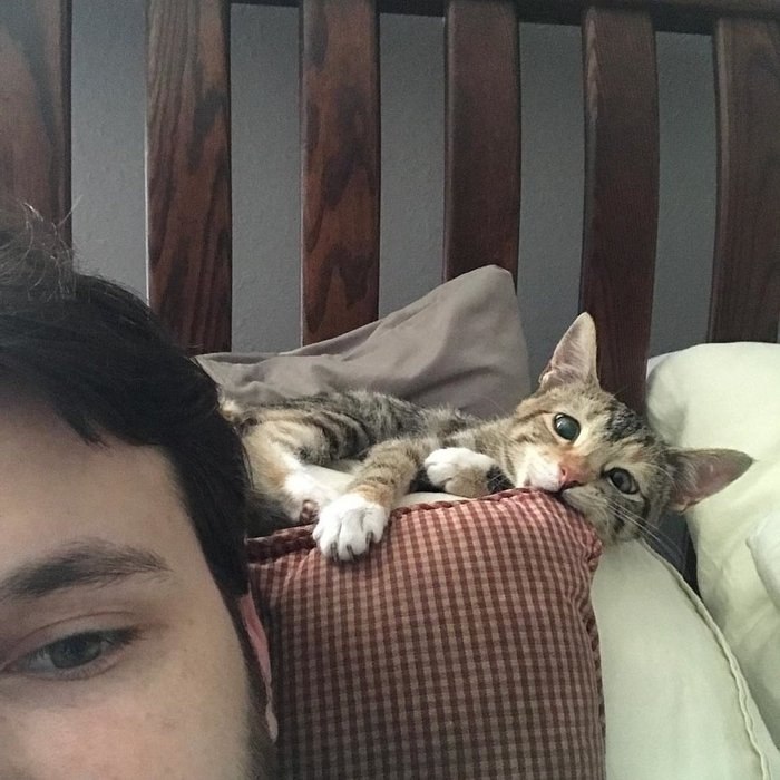 #@catism.   ,   ,     ,  ... - 3