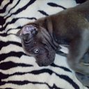 ���� ������, �����-���������, 52 ���� - ��������� 9 ������ 2018 � ������ ���� �������