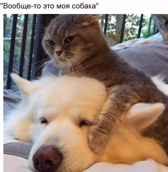    - 6  2019  16:55