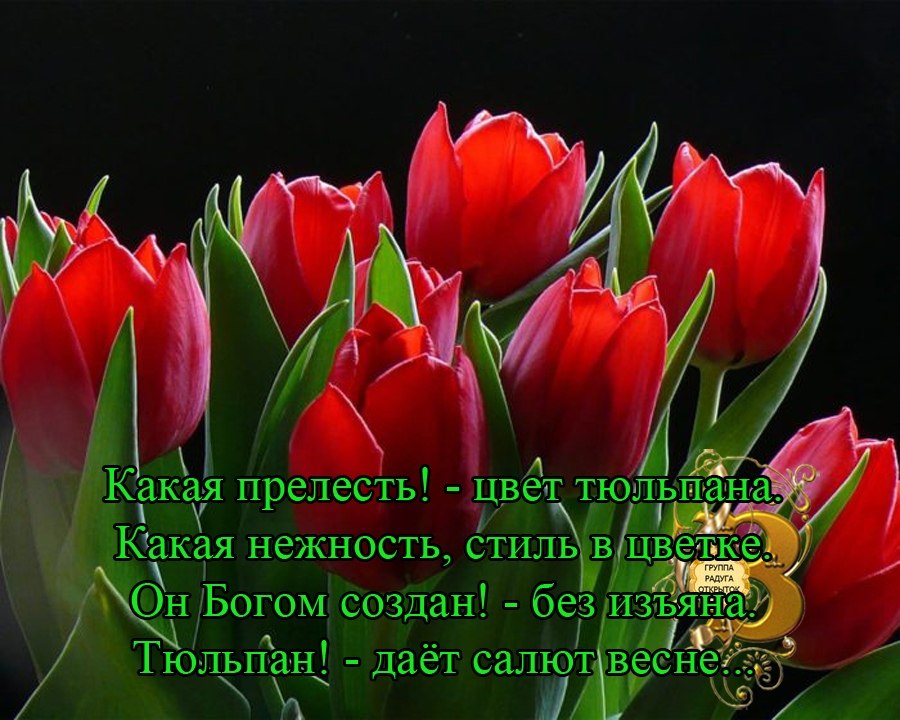   ,    . - 27  2019  22:23