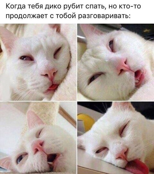    - 1  2018  16:46
