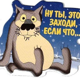 ����, �����, 54 ����