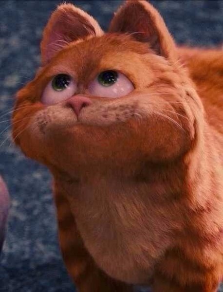 — Что же мне с тобой делать? — Кормить, любить и никогда не бросать! - 6
