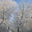 ���� ���������, ���� - ��������� 28 ������� 2018 � ������ �����-��������� ����� ����� �����