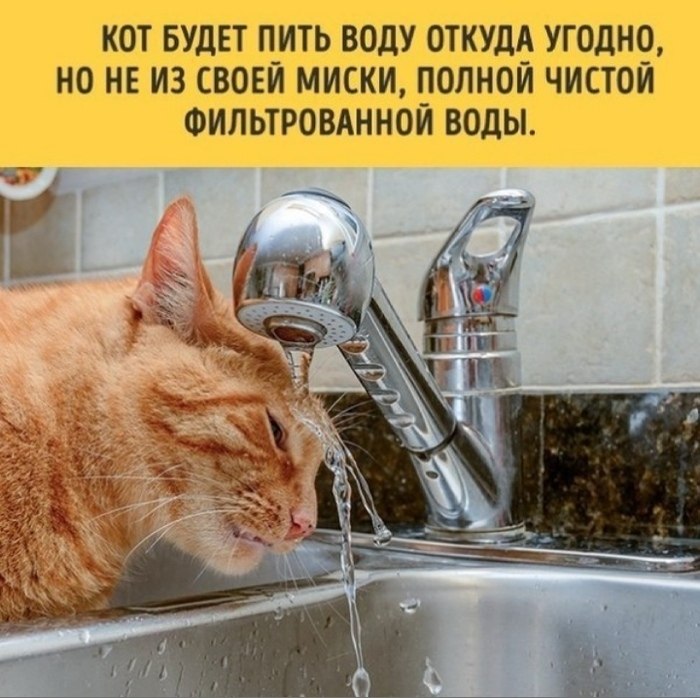   ,    -       
