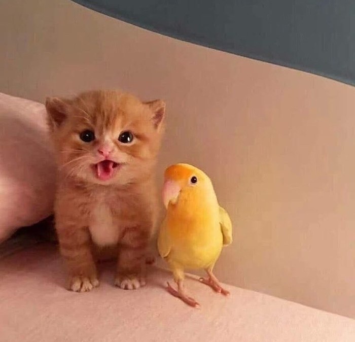   . .