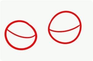 o  p