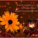 ���� ��������, ����� - ��������� 16 ���� 2018 � ������ ������ ��������