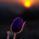 ���� �����, ��������, 61 ��� - ��������� 13 ������� 2018 � ������ ���� ����������