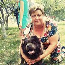  ,  , 47  -  11  2018    