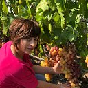 ����� 60 ������ �������� � ������� �� ������� ���� ����������