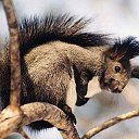 ���� ������, ������������ - ��������� 27 ����� 2019 � ������ ��������