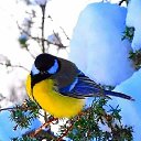 ���� ������, �����������, 71 ��� - ��������� 4 ������� 2018 � ������ ���� ����������