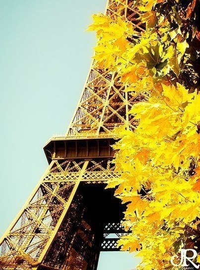 Art & Fun - 4  2018  17:08 - 3