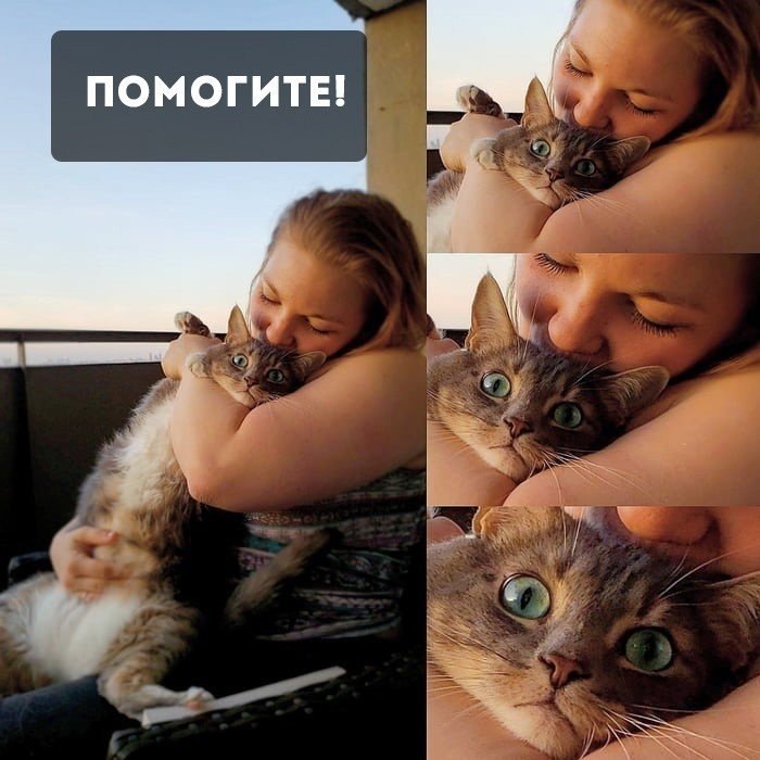   - 10  2019  17:11
