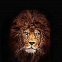 ���� ������, ���������, 52 ���� - ��������� 19 ������ 2018