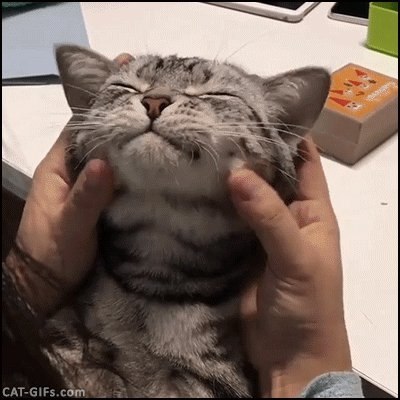 c ,    .   