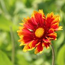  ,  -  6  2018      ...