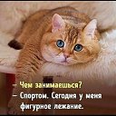  , , 49  -  5  2019   ...  )