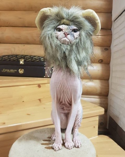 Когда покупка с али экспресс не совсем удачная)