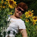  argo, , 65  -  18  2018    