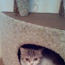 ���� Shkodina, ������ �������� - ��������� 6 ������ 2018 � ������ ���� �����