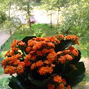 ���� �����, ������ - ��������� 31 ���� 2018