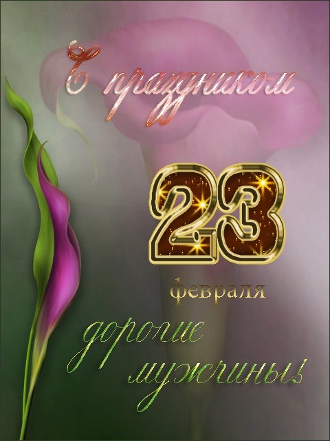  - 23  2019  11:20