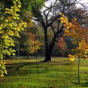 ���� ���������, �������, 66 ��� - ��������� 19 ������� 2018 � ������ ������ ��������