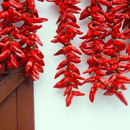 ����, ��������, 36 ���