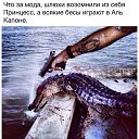       !   Almaz