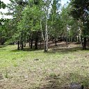  , , 61  -  22  2018    2018