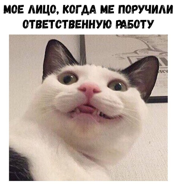    :D - 8  2018  16:23