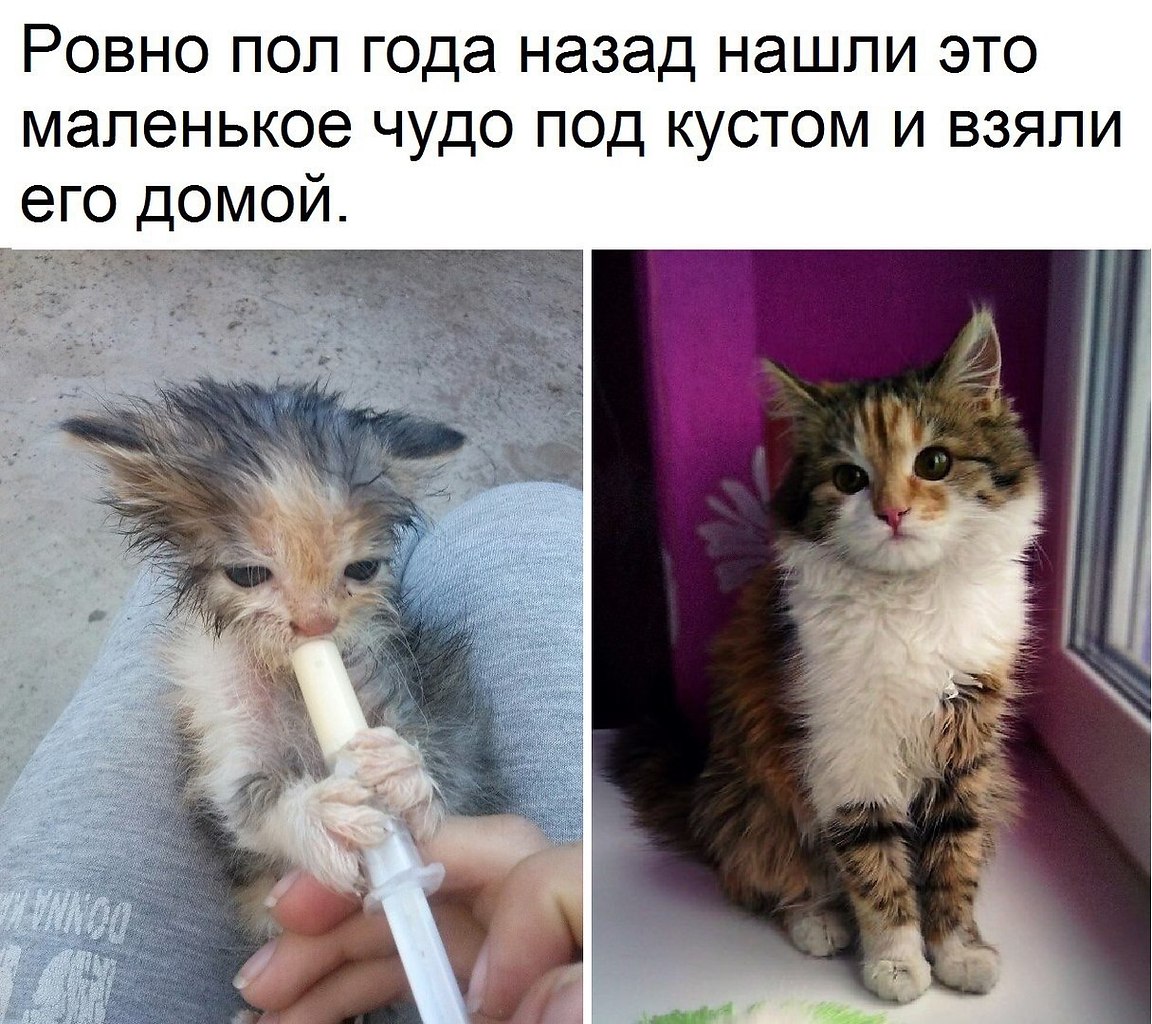   !