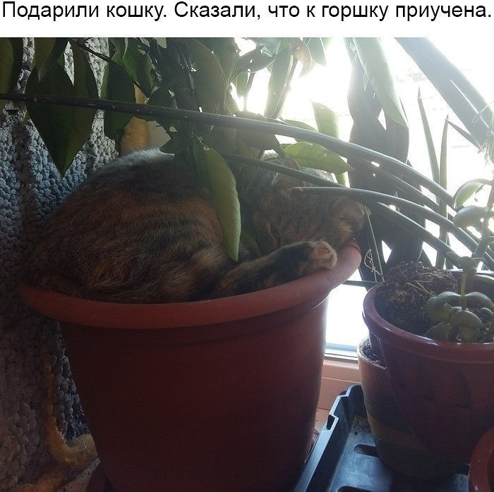      )))