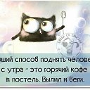  **l*ink@*, , 56  -  2  2018           ...