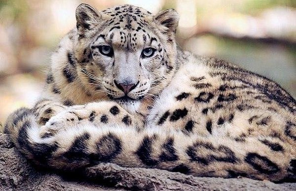 Не суди и не обижайся на людей. Что бы они тебе ни сделали, не возненавидь никого. Каждый поступает ...