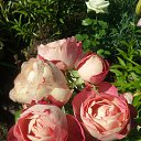 ���� Mary@sha, ���������, 45 ��� - ��������� 3 ������� 2018 � ������ ���� ����������