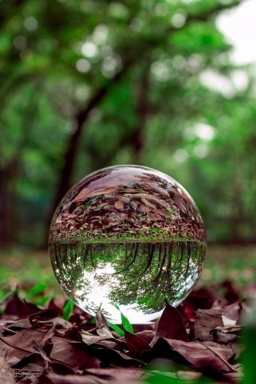    ,    .    ,     . - 4