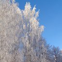 ���� �����, ������, 62 ���� - ��������� 17 ������� 2018 � ������ ���� ����������