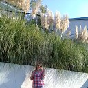 ���� ������, ��������� - ��������� 25 ������� 2018 � ������ ���� ����������