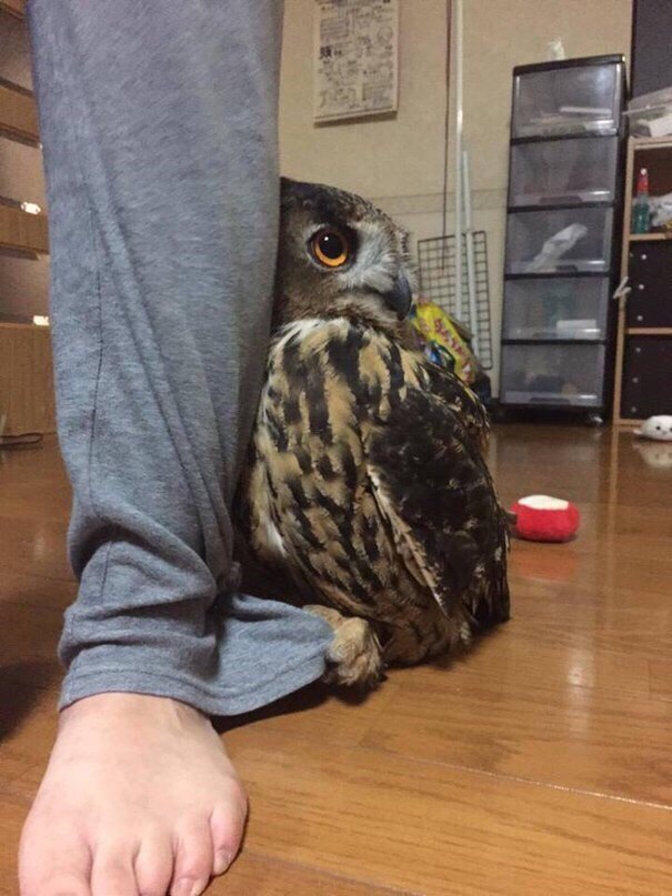 o  p a eep, e a o o a :) - 3