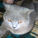 ���� �����, �����������, 45 ��� - ��������� 9 ������� 2018 � ������ ���� ����������