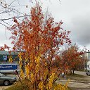 ���� @ �������, ���������, 46 ��� - ��������� 15 �������� 2018 � ������ �������