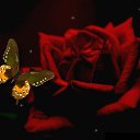 ���� ������, ��������, 66 ��� - ��������� 23 ������� 2019 � ������ ���� ����������