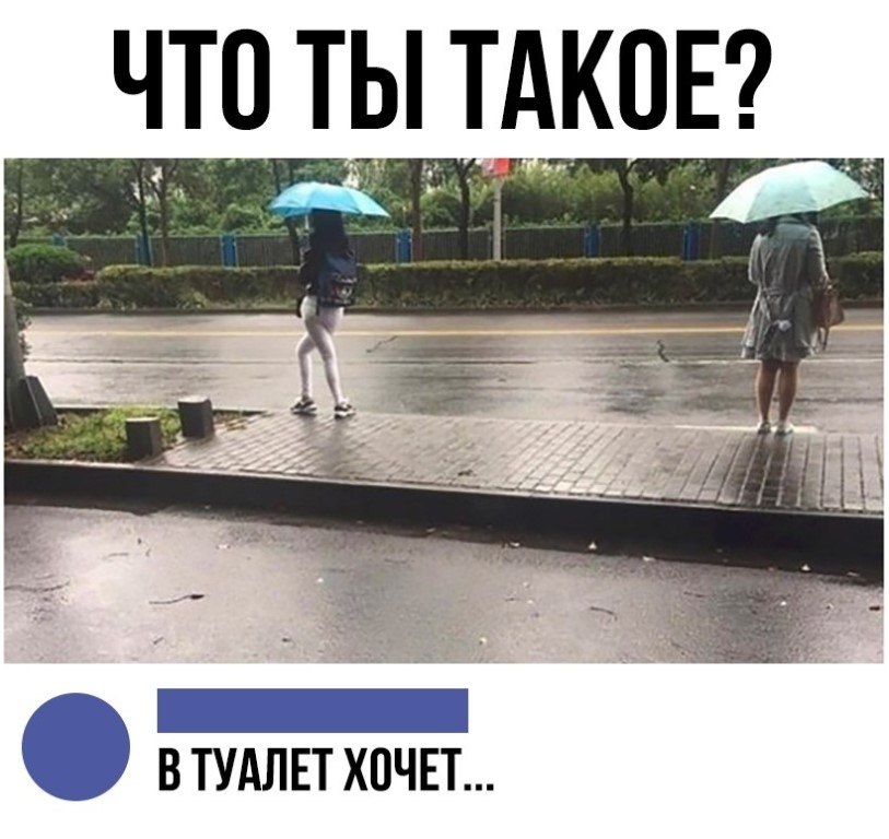 ☆ ☆ - 6  2018  17:14