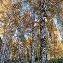  , , 50  -  9  2019    2019