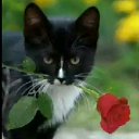 ���� Redjep, �������, 50 ��� - ��������� 6 ������� 2019 � ������ ���� ����������